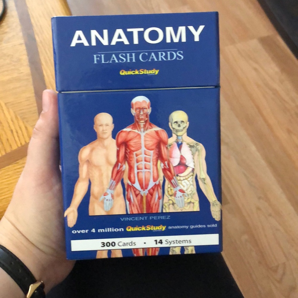 Anatomy flash cards